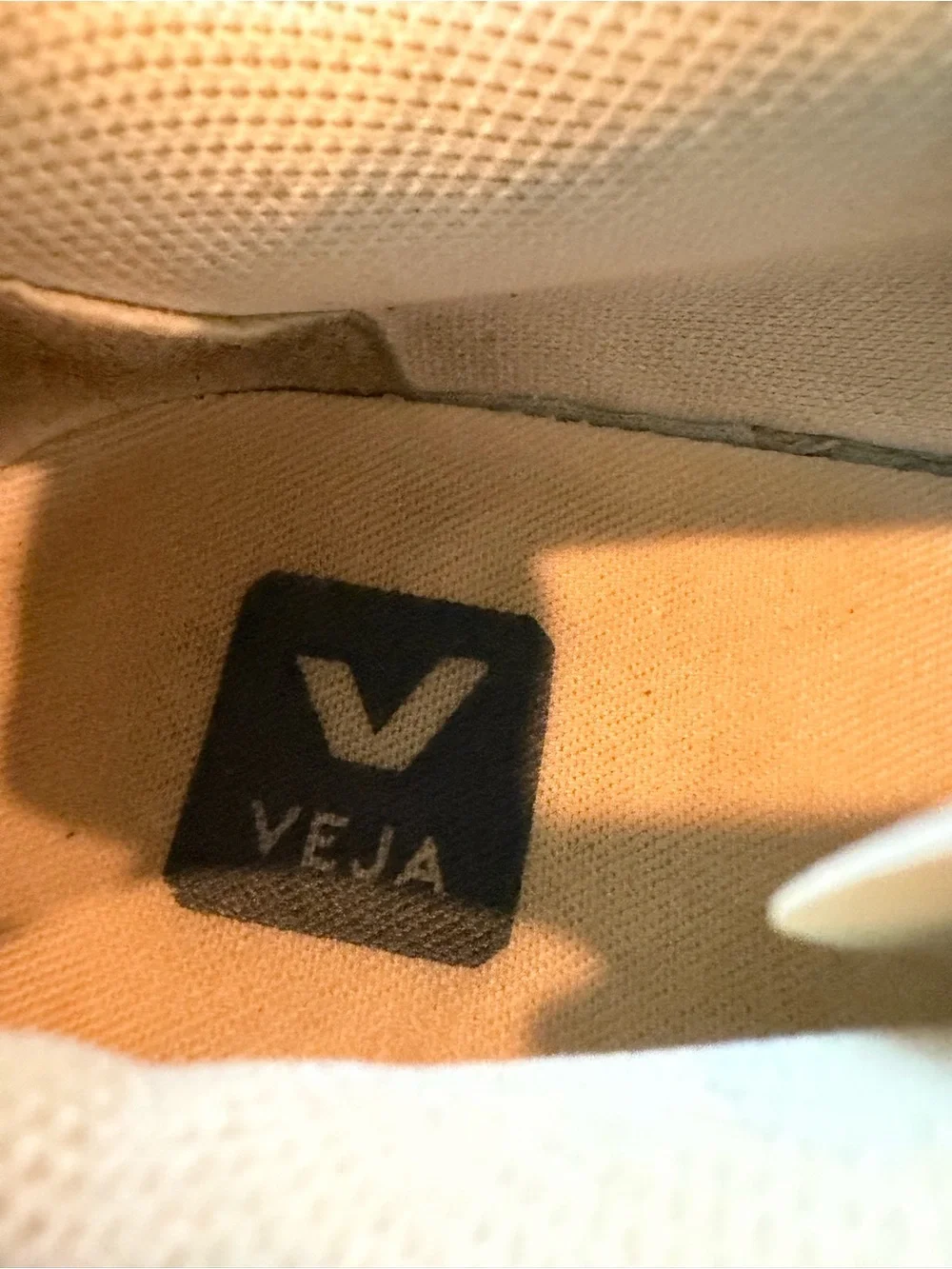 Veja Beige Suede Sneakers with Coral Logo Accent